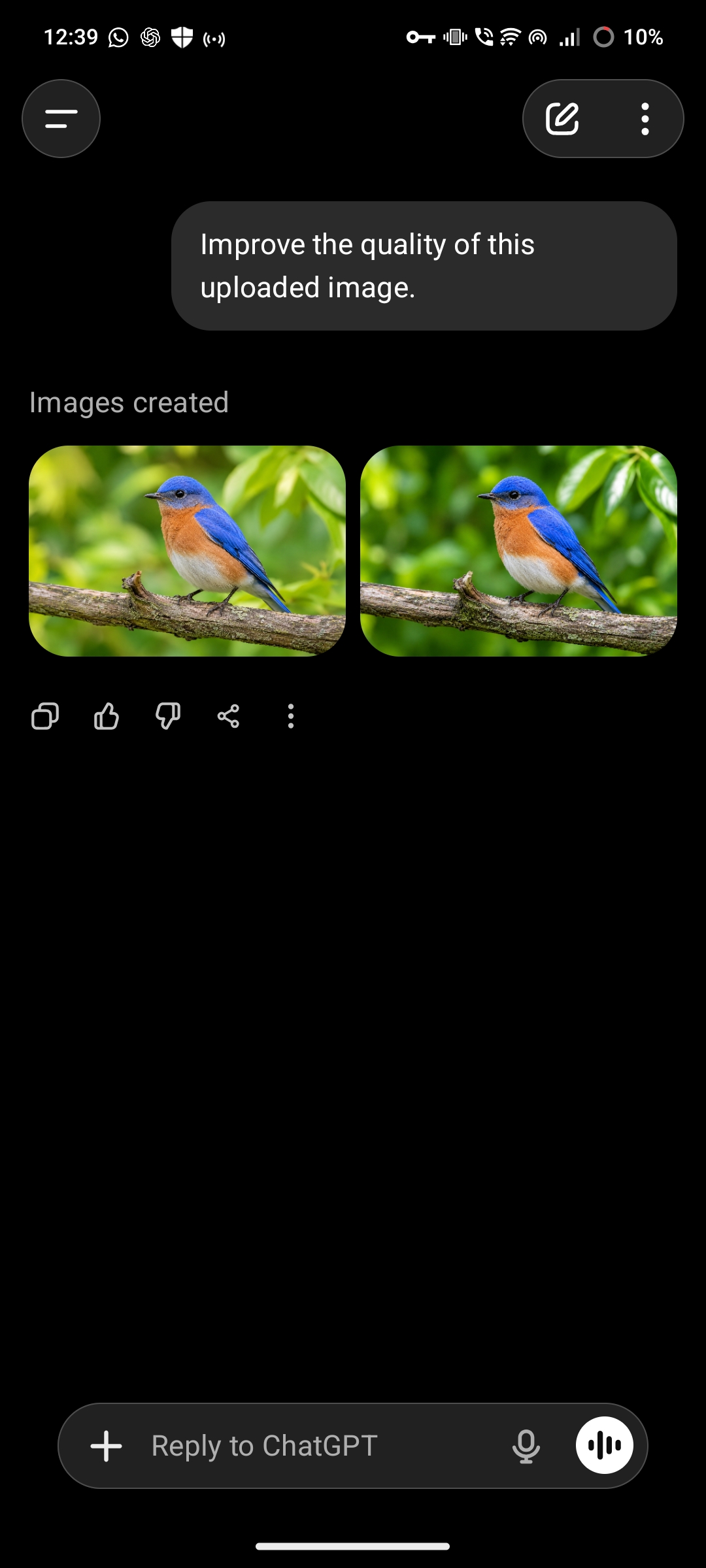 ChatGPT screenshot showing a prompt that references an uploaded image even though no image was attached, followed by generated bird images.